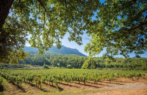 Engardin, un havre de paix en Provence Verte - Foto 60