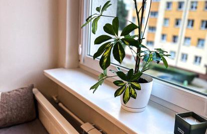 Sixth Corner - Foto 6