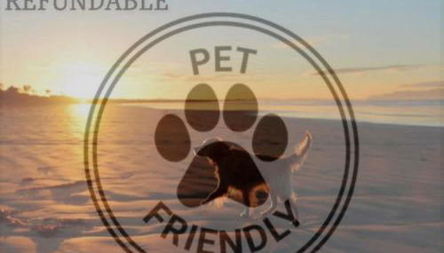 Sea You Soon - Foto 3