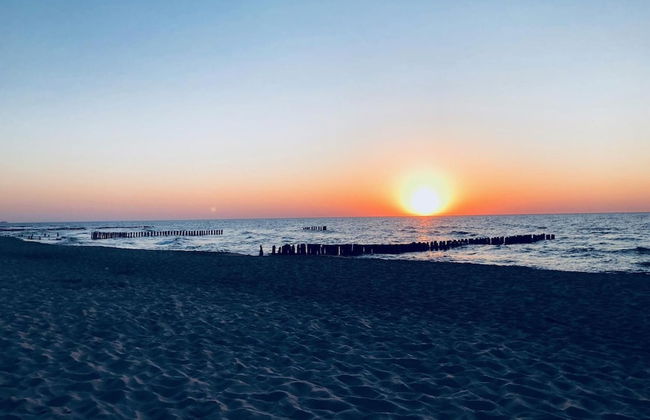 DWIE SOSNY-Apartament na wydmie - 365PAM - Photo 63