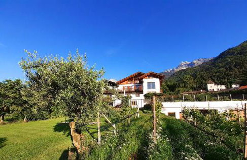 Fröhlichhof Wohnung Panorama - Foto 26