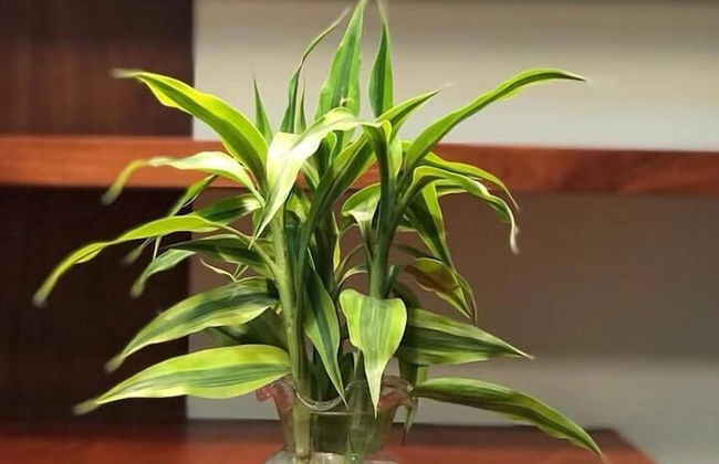 Thada Apartment - Foto 30