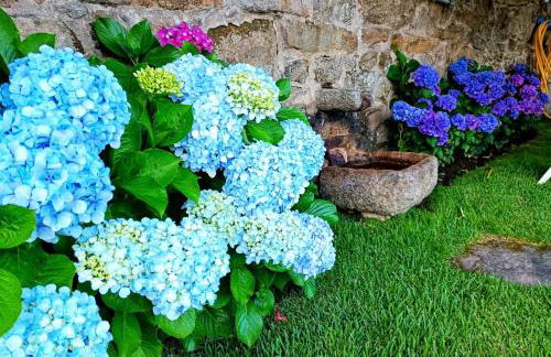 REMANSO AZUL - Foto 11