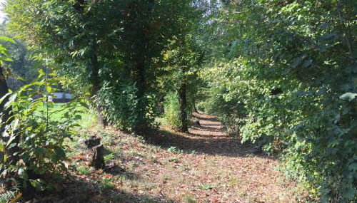 La casa di Ale - Foto 4