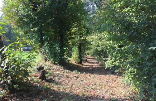 La casa di Ale - Photo 4