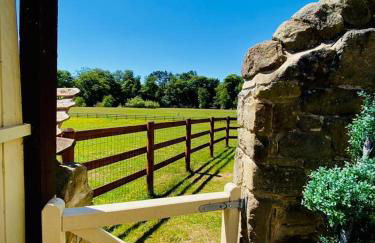 Kingfisher Lodge - Foto 12