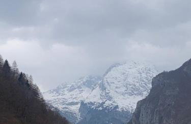 Rustichello - Photo 1