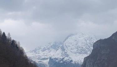 Rustichello - Foto 1