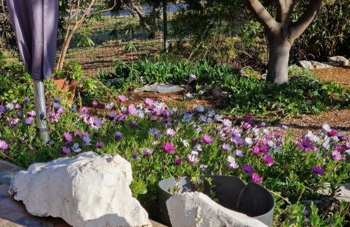 Grieks vakantiehuis To Kalokairi - Photo 34