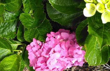 Quinta Nossa Senhora de Lourdes - Photo 21