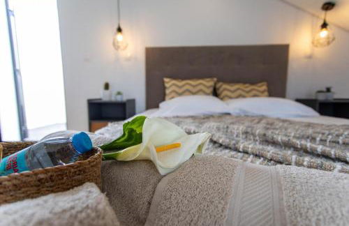 Carvão Pdl Inn - Photo 60