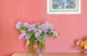 Le Stanze di Ebe - Foto 41