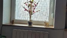 Le ruisseau du Bâmont - Foto 4