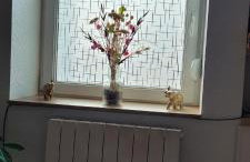 Le ruisseau du Bâmont - Foto 4