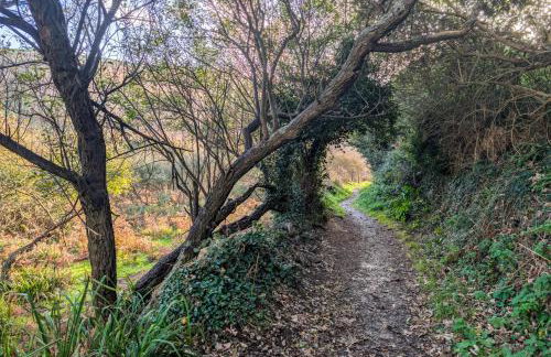 2 Bed in Penzance oc-36733 - Foto 17