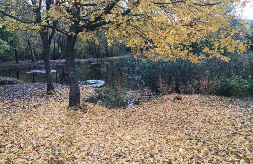 Rose cottage - Photo 10