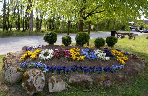 App 510 Panoramic Hohegeiß mit Fernblick - Foto 30