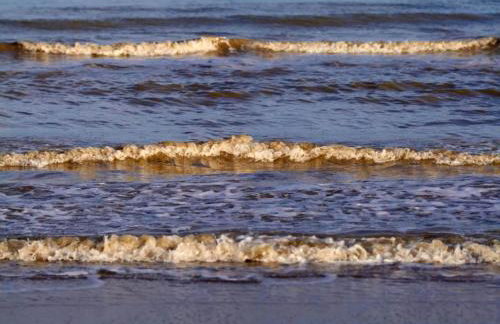 Apartment in Dar?owo With Garden - Foto 55