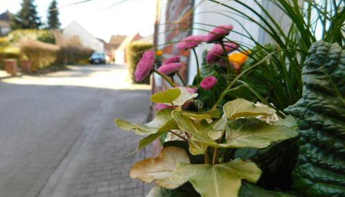 Ferienhaus Anno1875 - Photo 2