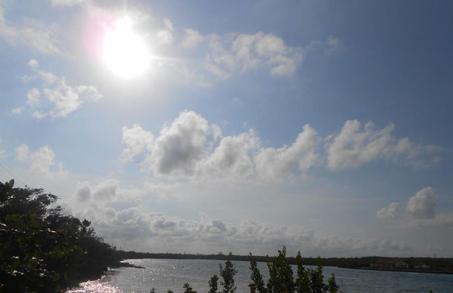 Nathan's Lodge - Photo 43