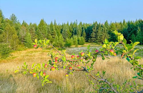 Whispering Pines Retreat - Foto 35