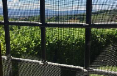 B&B La Noce - Foto 4