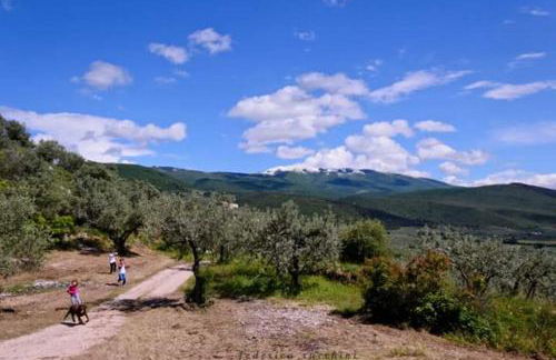 Agriturismo Monte Cologna - Photo 68