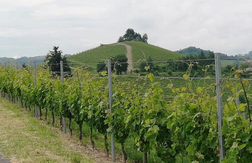 La Giribaldina Winery & Farmhouse - Foto 50