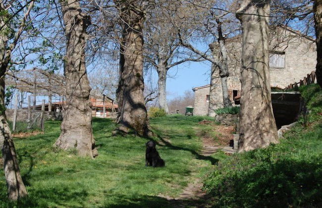 Agriturismo La Casina della Burraia - Photo 59