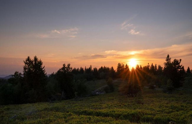 Dreislar Mountain Hideaway - Photo 35