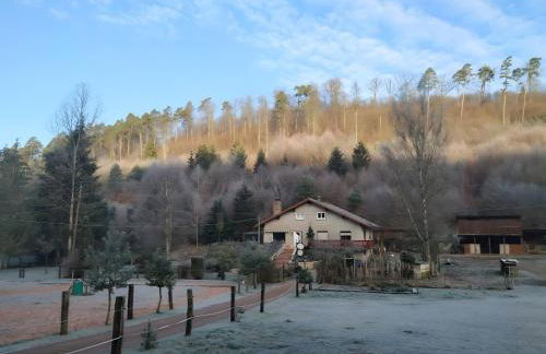 Le petit Sabotier - Foto 13