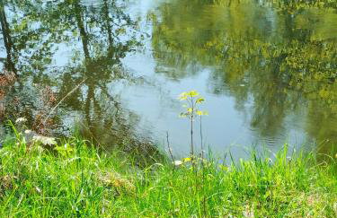 Leśna Chata kuracyjna nad rzeką z sauną w Borach Tucholskich - Foto 56