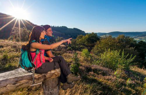FEWO 2 Panoramablick - NEU incl 3-WeltenCard mit 140 kostenlosen Attraktionen - Foto 39