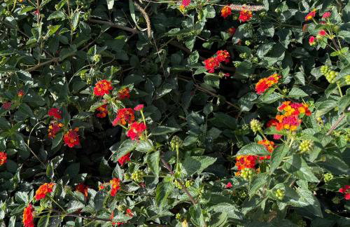 Giardini Hurz - Foto 22