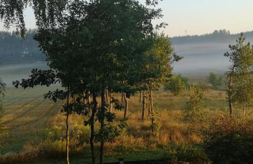 Domek pod lasem podlaskie - Foto 37