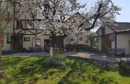 Ferienwohnung Zum-alten-Kirschbaum - Foto 10