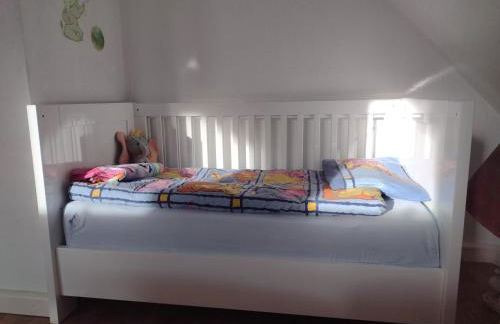 Olifant in Osterode - Foto 33