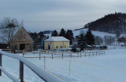 Pferdehof am Burgsberg, Ferienwohnungen - Foto 39
