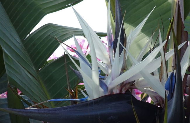 Lovely Apartment in Arona - Photo 19