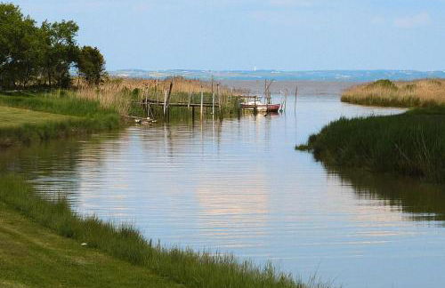Semi-detached House on a Vineyard, Talais - Foto 39