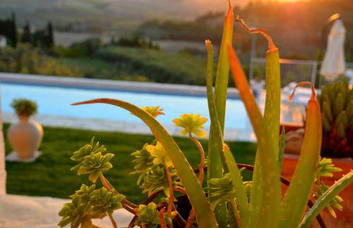 Casa Magnolia - Foto 20