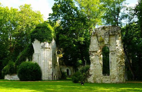 Château du Loroux - Photo 10