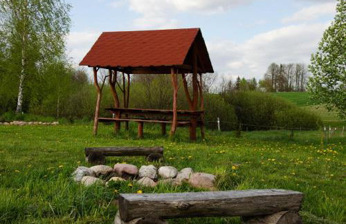 Domki na Wzgórzu - Rospuda - Foto 23