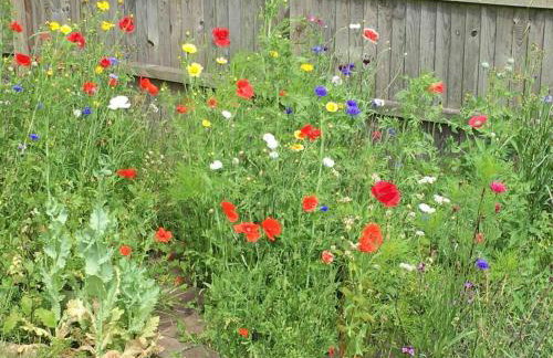 Corner Cottage - base for exploring North Norfolk - Photo 5