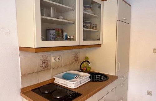 Apartman Blaga - Photo 26