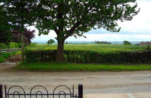 Oak Tree Cottage - Photo 7