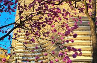 Lindo Loft próximo ao BeFly MinasCentro e Mercado Central - Foto 15