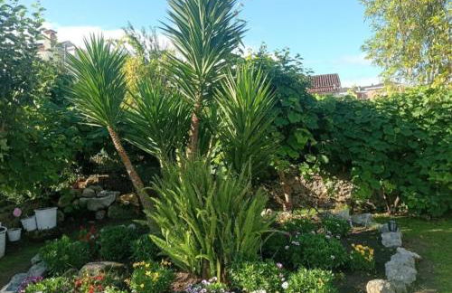 La casa de la avioneta - Foto 21