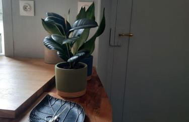 Appartement centre historique Ferreol - Foto 16