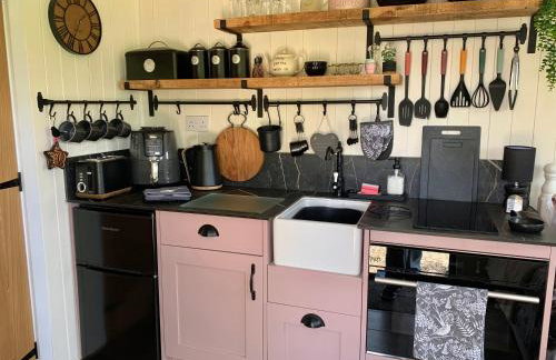 Little Bo Peep - Foto 26